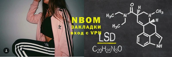 сатива Ростов
