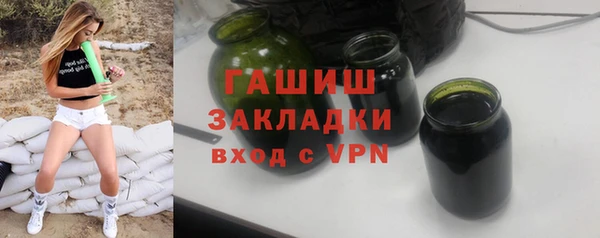 гашик Алексин