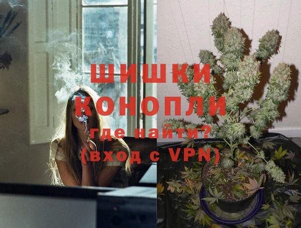 гашик Алексин