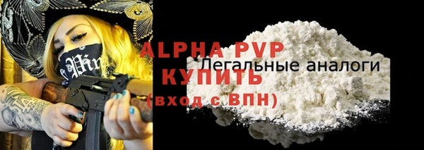 гашик Алексин