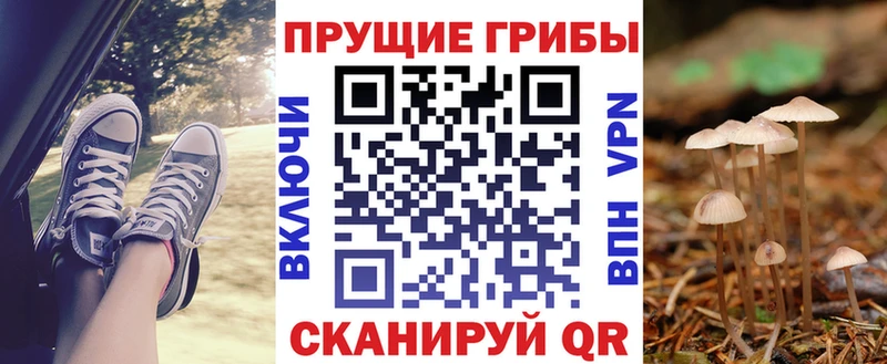 где можно купить наркотик  Салехард  Псилоцибиновые грибы Magic Shrooms 